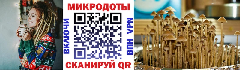 купить наркотики цена  Тверь  Псилоцибиновые грибы MAGIC MUSHROOMS 