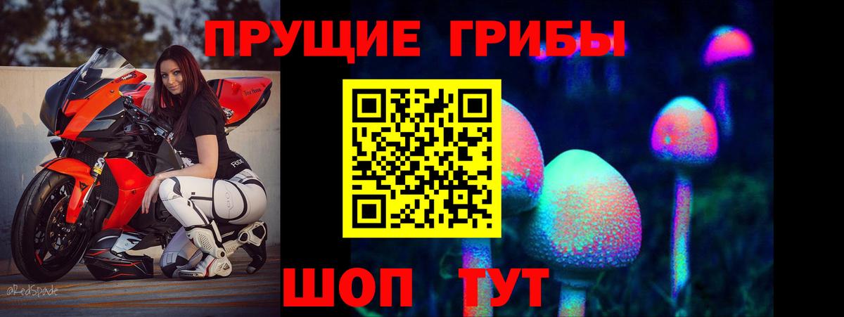 Псилоцибиновые грибы прущие грибы  Вход с VPN  Тверь  Галлюциногенные грибы Psilocybe 